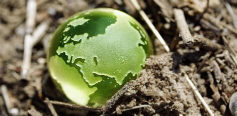 5 cursos sobre Medio Ambiente para el mundo actual