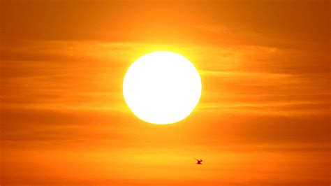 5 datos interesantes sobre el Sol que quizá no sabías