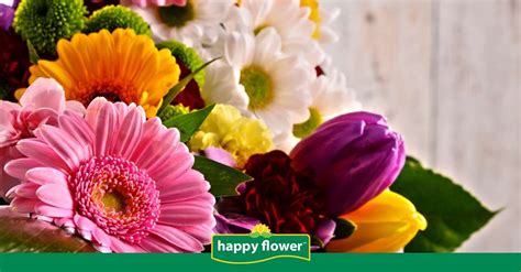 5 Flores para Enamorar a tu Pareja | Consejos Happy Flower