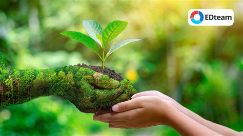 5 Formas de cuidar el medio ambiente  | EDteam