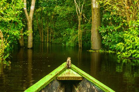 5 formas increíbles de conocer el poderoso río Amazonas