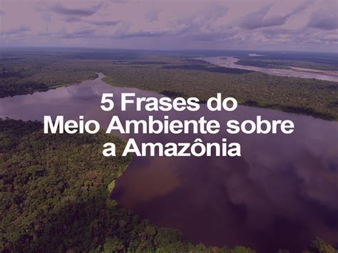 5 Frases do Meio Ambiente sobre a Amazônia     o  eco