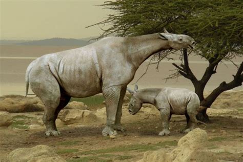 5 gigantescos animales que existieron y que debes conocer | Animales ...