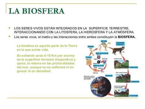 5. La Biosfera, los Seres Vivos. | SOCIALES Y NATURALES ...