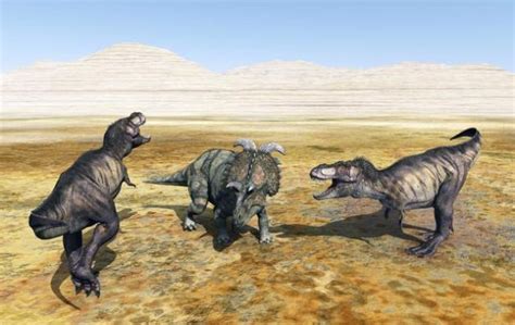 5 misterios sobre los dinosaurios que aún no tienen respuestas ...