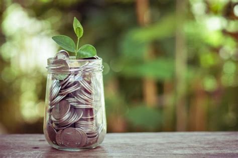5 Plantas que te ayudarán a atraer dinero a tu hogar