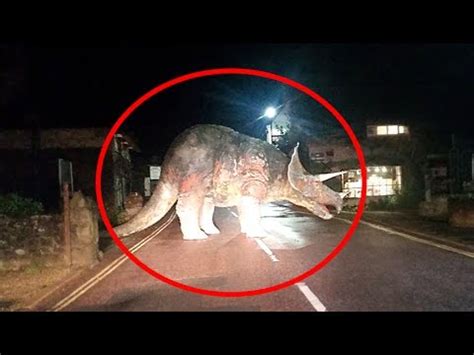 5 Real Life Dinosaurs Caught On Camera   YouTube