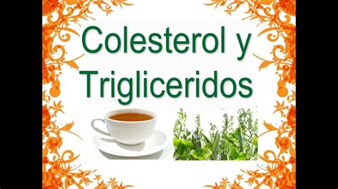 5 Remedios Caseros para el Colesterol y los Triglicéridos   YouTube