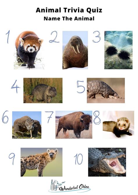 50 Animal Trivia Questions To Test Your Knowledge  2021