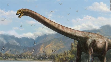 50 ft  dragon  dinosaur unearthed by Chinese farmers   CNN