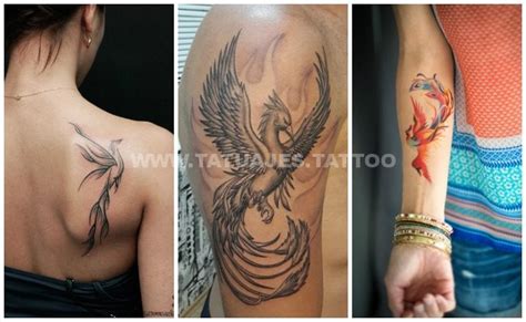 +50 ideas de 【 Tatuajes de Ave Fenix 】  Foto y ...
