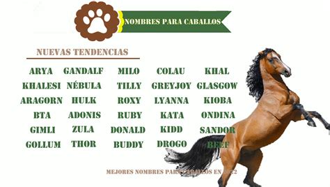 500+ Nombres para Caballos Originales y Bonitos | Caballos y Yeguas