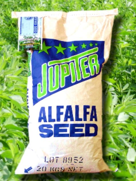 500g Semilla De Alfalfa Jupiter Para Siembra | Mercado Libre