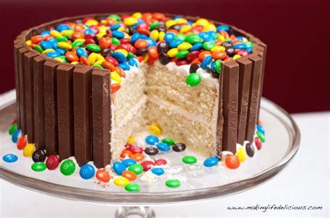 52 Amazing Birthday Cake Recipes {for boys, girls, adults ...