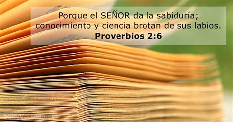 52 Versículos de la Biblia sobre la Sabiduría   DailyVerses.net