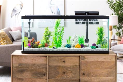 55 Gallon Large LED Aquarium Starter Kit Fish Tank
