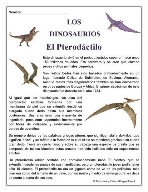 55 mejores imágenes de Dinosaurios en 2019 | Dinosaurios, Proyectos de ...