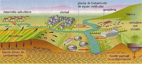 573 Importancia del agua para la humanidad Cecilia Mota ...