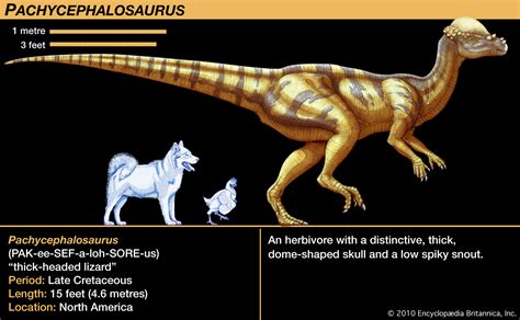 6 Awesome Dinosaur Species You Should Know | Britannica