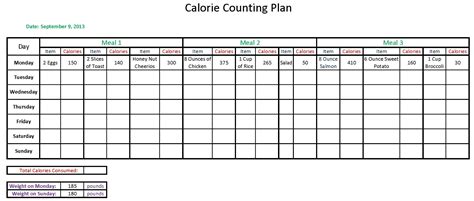 6 Best Images of Calorie Counting Sheets Printable ...
