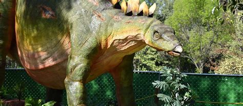 6 datos curiosos sobre los sorprendentes dinosaurios | Blog Xochitla