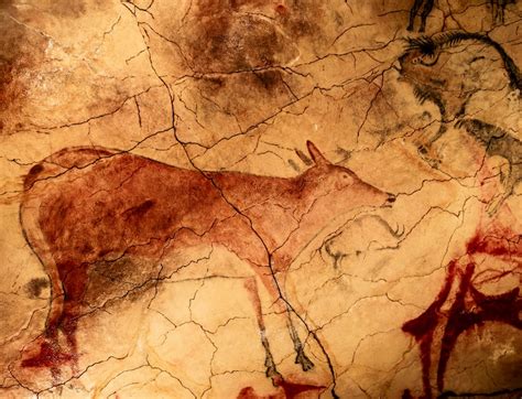 6 Datos increíbles sobre las pinturas rupestres de la cueva de Altamira ...
