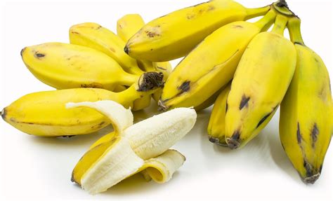 6 Different Types of Bananas
