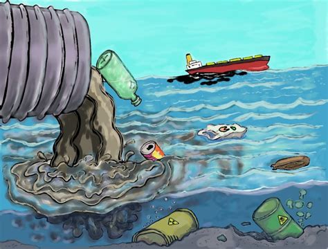 6 maneras de proteger el ecosistema marino con tus acciones cotidianas ...