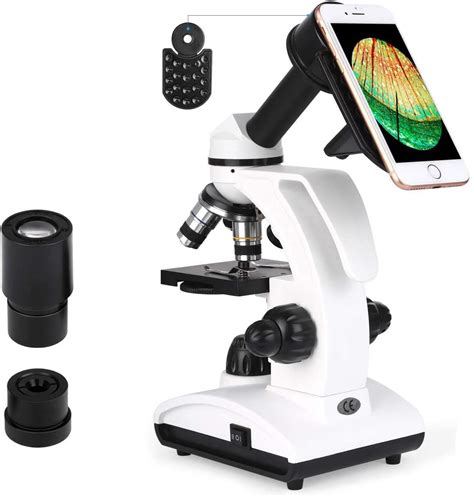 6 Mejores Microscopios De Fluorescencia Resoluciones |  2020