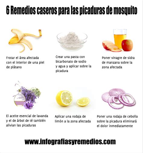 6 Remedios caseros para las picaduras de mosquito