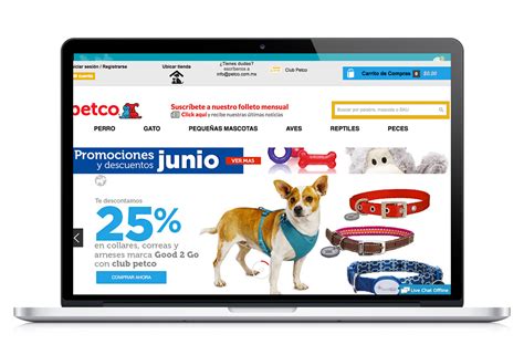6 tiendas en línea para comprar TODO para tu mascota