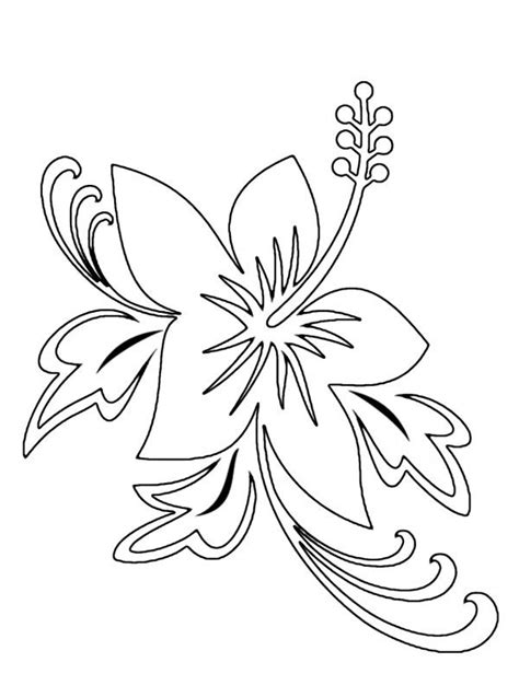 60 Imágenes de flores para Colorear dibujos | Colorear ...