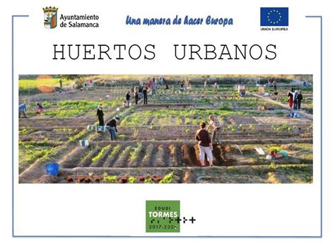 600 huertos urbanos ecológicos para Salamanca | Noticias