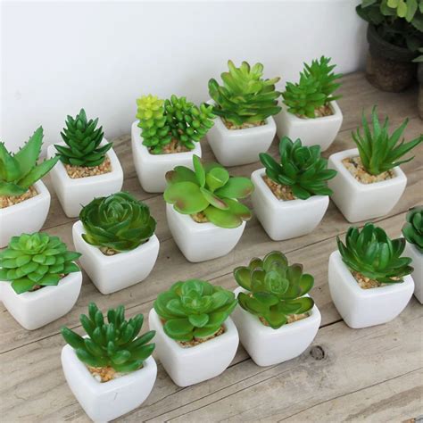 60pcs Decorative flower pots mini succulent plant bonsai ...