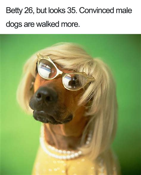 63 Dog Bios That Will Hilariously Remind You Of Somebody ...
