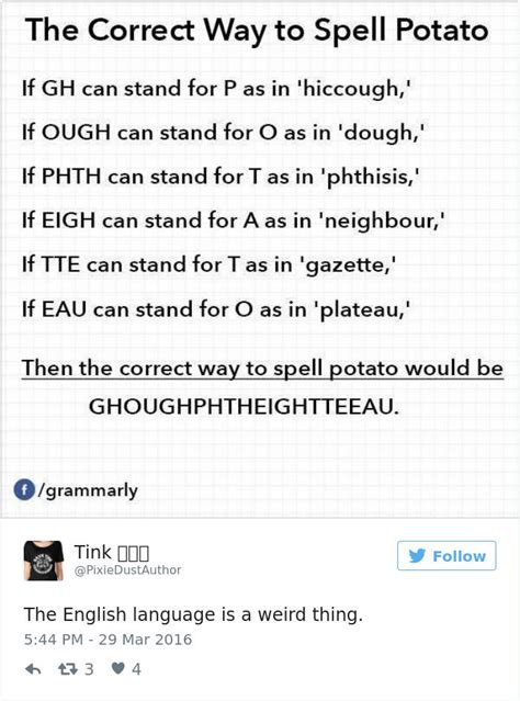 67 Hilarious Reasons Why The English Language Is The Worst ...