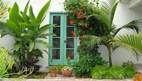 7 Bellas Plantas De Exterior Resistentes Para Jardines