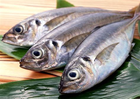 7 Beneficios de comer pescado regularmente | El Metropolitano Digital