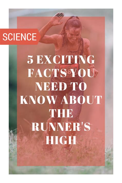 7 Exciting Facts You Need to Know About the Runner’s High | Runners ...