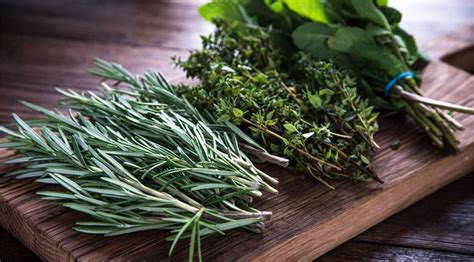 7 hierbas aromáticas para cocinar y sus propiedades