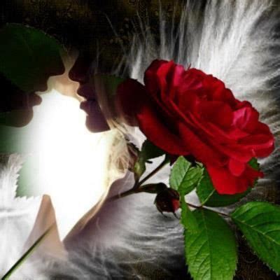 7 Imágenes de Rosas para Enamorar   ∞ Sólo Imagenes de Amor ∞ | Rose ...
