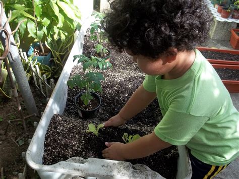 7 plantas que los niños podrán sembrar de manera sencilla ...