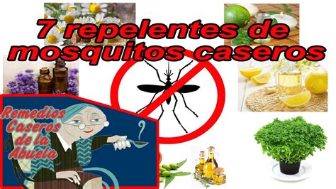 7 repelentes de mosquitos caseros   repelente casero no ...