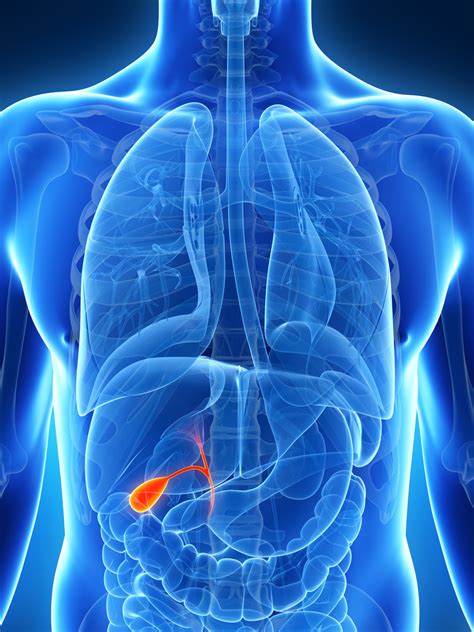 7 Symptoms you May Have a Gallbladder Problem | ActiveBeat