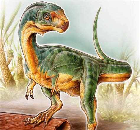 7 Year Old Discovers New Dinosaur Species, a T Rex That ...