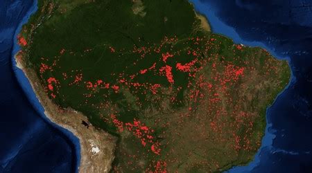 72.843 incendios en Amazonas durante 2019: Brasil está ...