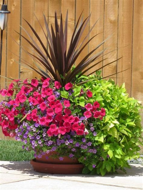 75 Beautiful Summer Container Garden Flowers Ideas   Homekover ...