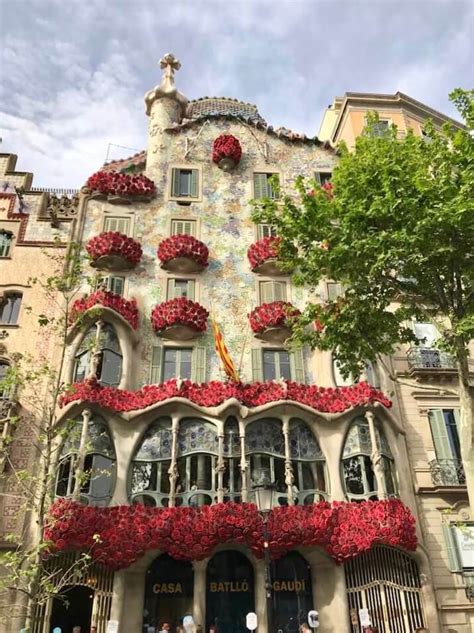 7m roses expected to be sold on Sant Jordi s Day   Spain in English