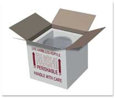 7x7x7 Insulated Shipping Boxes with 3/4  Foam   Reptiles ...