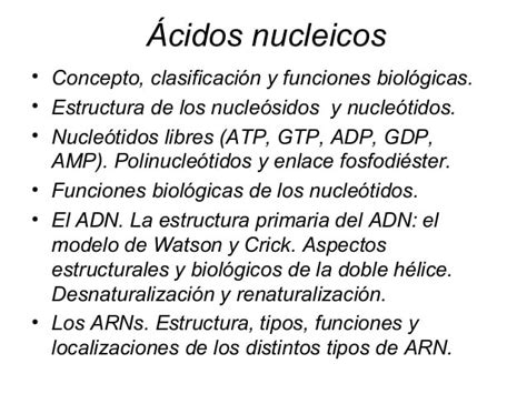 8 acidos nucleicos